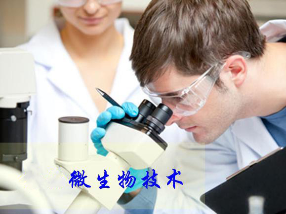 現(xiàn)代化微生物技術概括